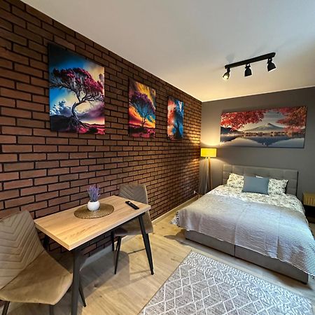 Apartamenty 1 Maja 94 Катовіце Екстер'єр фото