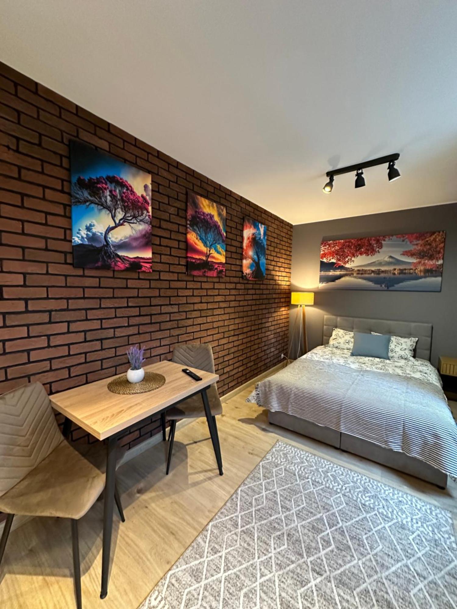 Apartamenty 1 Maja 94 Катовіце Екстер'єр фото